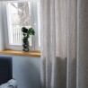 Curtain ADELS v.01-1