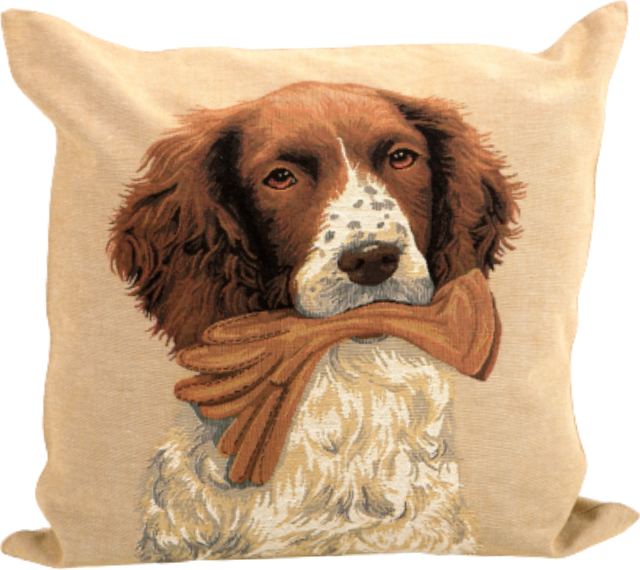 Cushion cover KOER KINDAGA