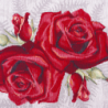 Placemat ROSIS