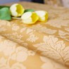 Linik DORA v.15, light green