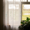 Sheer curtain CINTIA v.02