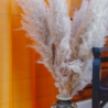 Sheer curtain LAURA 11101 v.09, orange