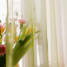 Sheer curtain LAGUNA 805, v.659, light green