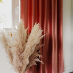 Curtain SPRING v.5275, dusty pink