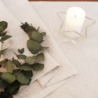 Table runner RECIFE v. 148, white-silver