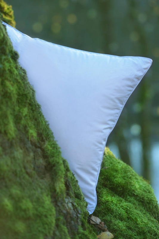 Feather pillow 500g 50x70
