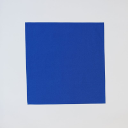 Napkin CHIK, various colours, 50x50cm