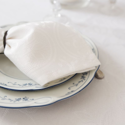 Napkin BAGUR, white, 40x40cm