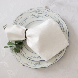 Napkin BAGUR, white, 40x40cm