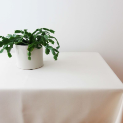 Tablecloth RASO v.01, off-white, rectangular, with Teflon treatment