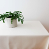 Tablecloth RASO v.01, off-white, rectangular, with Teflon treatment