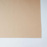 Tablecloth RASO v.02, champagne, square, with Teflon treatment